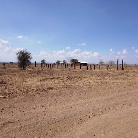 dry landscape in Africa