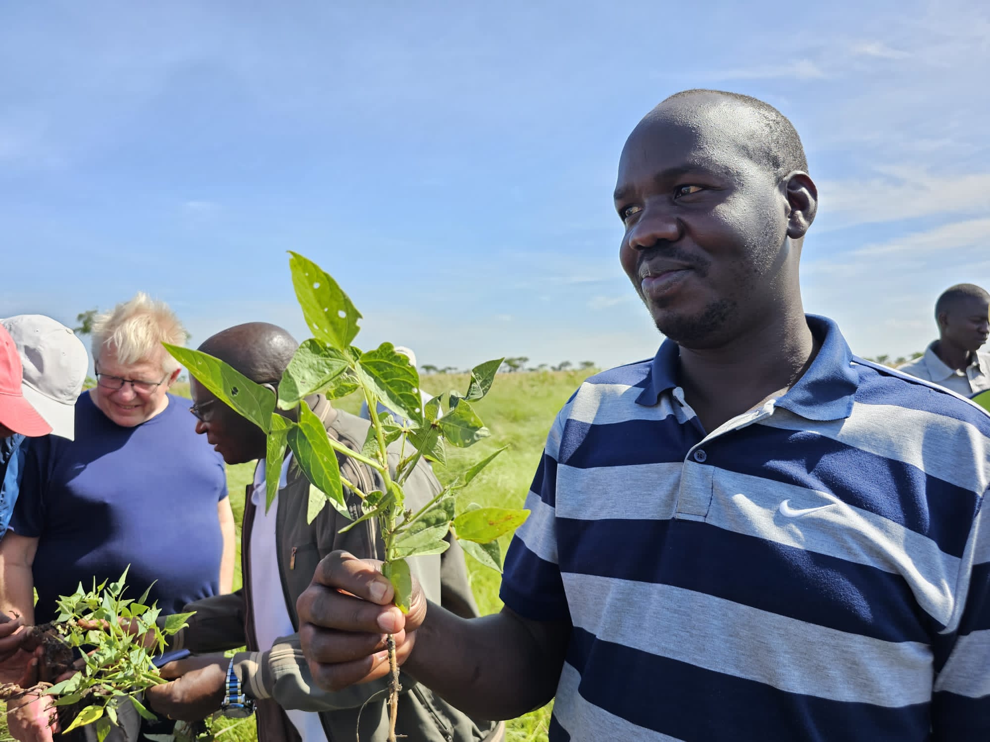 A man holding a plant