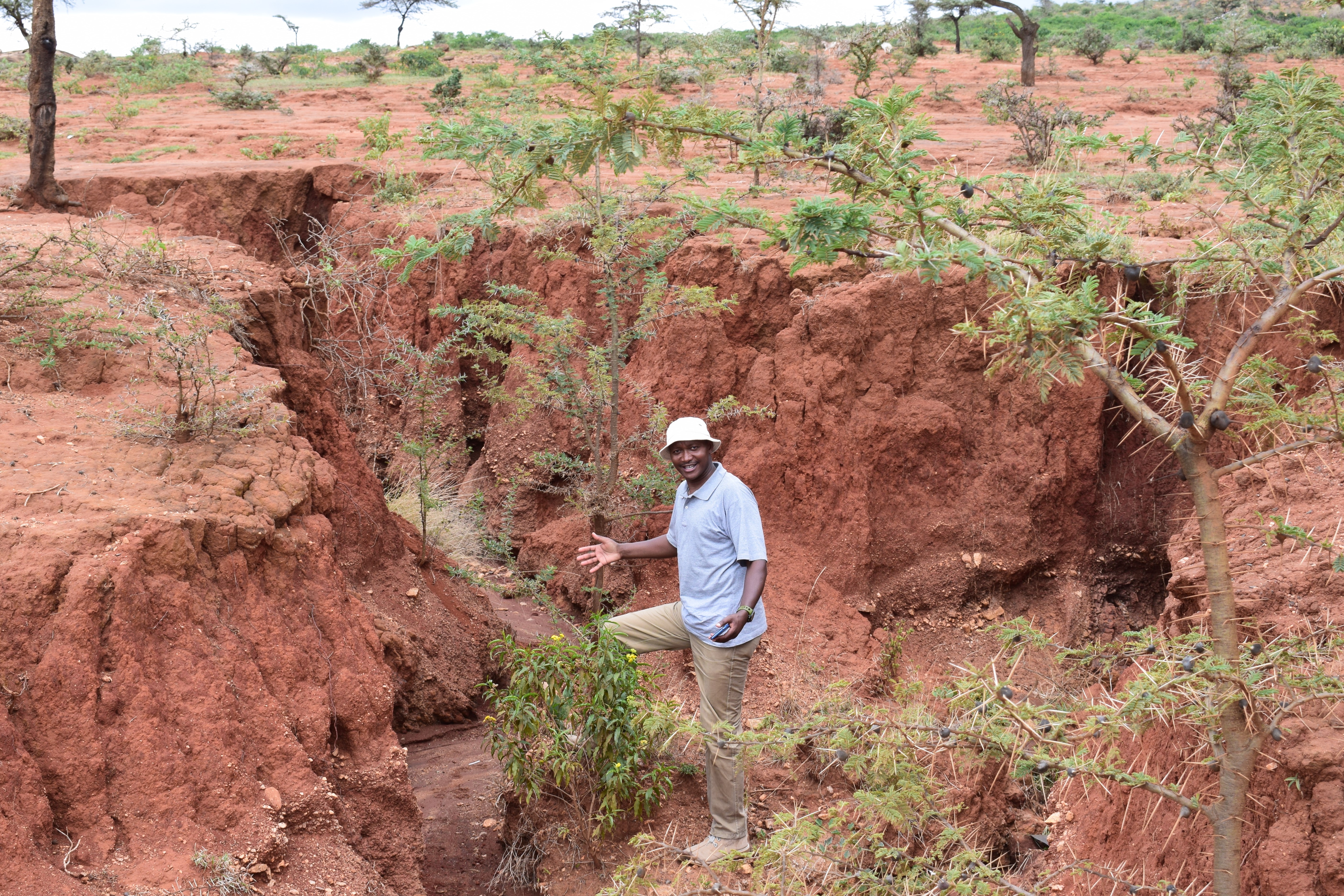 Severe erosion in drylands.