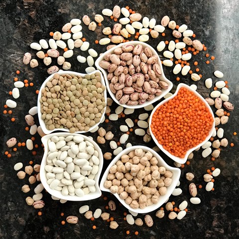 Different beans in bowls