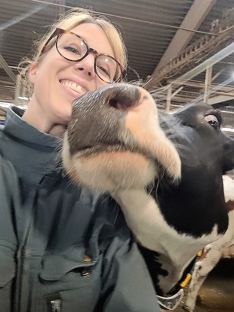 Kvinna står bredvid ko