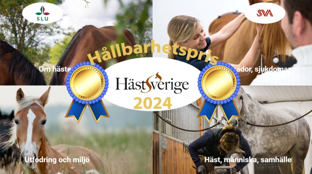 Hästar