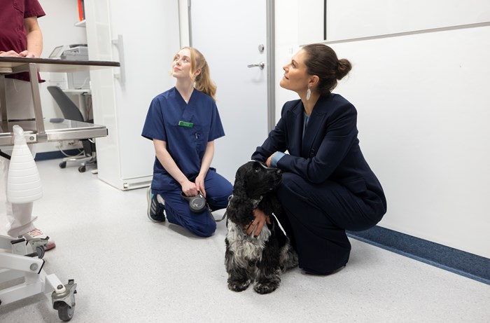 Kronprinsessan, veterinärstudenten Lovisa och cockerspanieln Linus