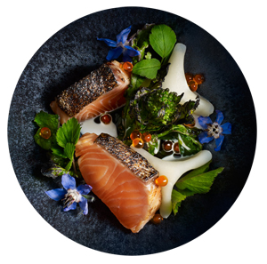 Food plate with salmon. Photo.