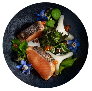 Food plate with salmon. Photo.