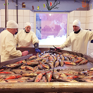 Production of char. Photo.