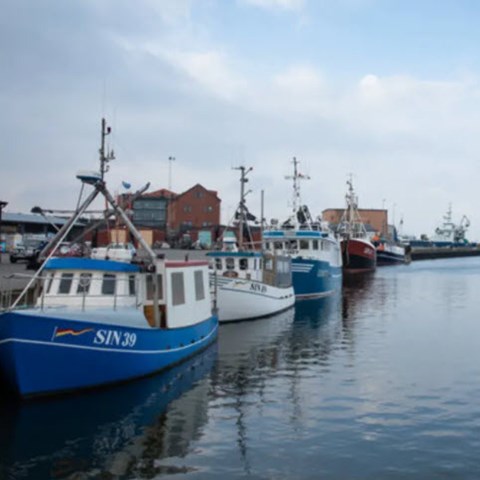 Fishing boats along the quay. Photo.