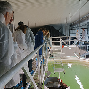 A group of people looking at a RAS-facility (land-based aquaculture). Photo.