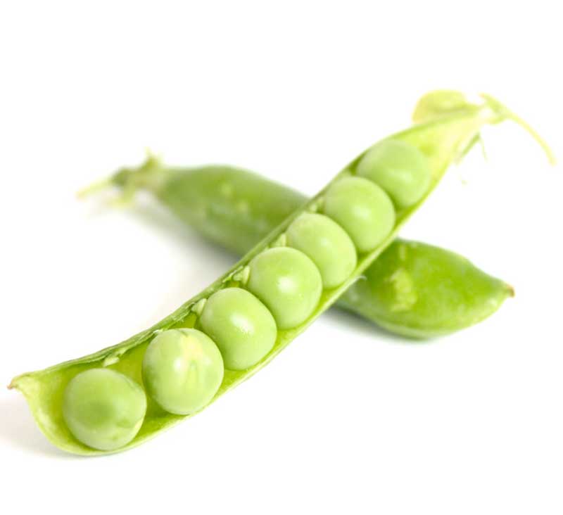 Pea pod against white background, photo.