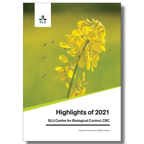 A cover for a folder with a yellow rapeseed flower and insects. 