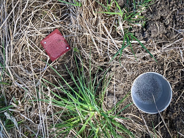En burk med skummig vätska och en fyrkantig röd pappersbit på gräsig mark. Foto.