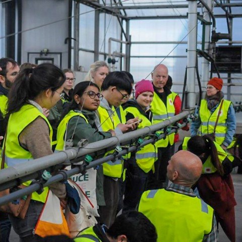About ten people are standing along a metal bar with yellow reflective vests on. Photo.