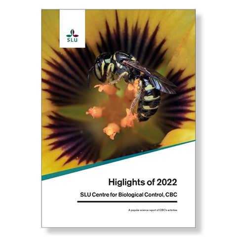 A report cover with a bee on it. Photo.