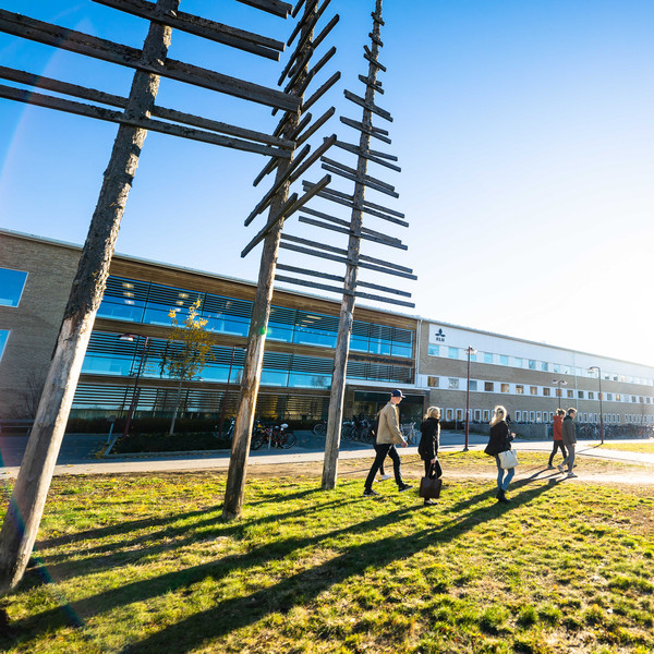 Några personer går på gräs i närheten av en byggnad. Foto.