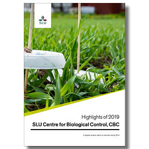 Omslag till CBC:s årsrapport 2019, foto.