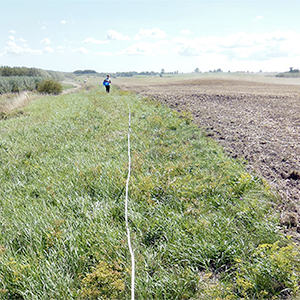 A person standing in a flowerstrip close to an agricultural field.
