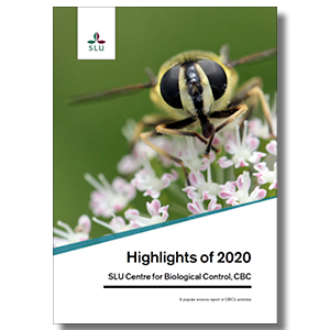 A cover for a report with a close-up of a hover fly. Photo.