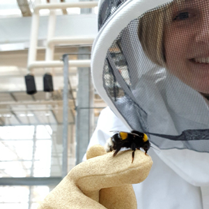 En kvinna i skyddsutrustning har en humla på fingret. Foto.