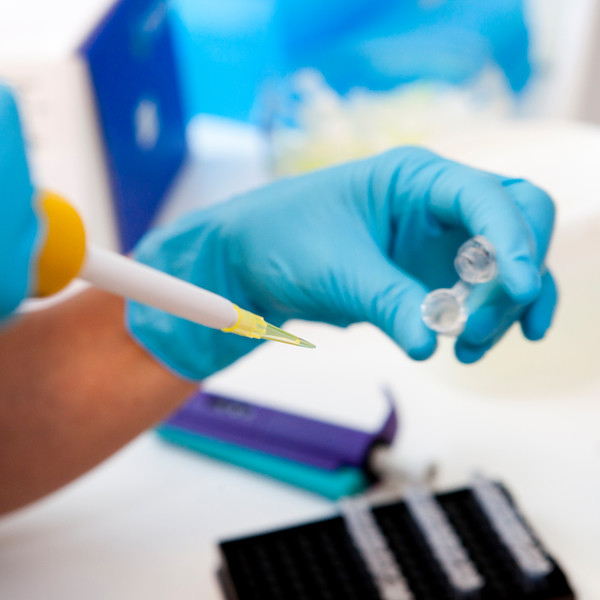 En hand med blå handske håller i en pipett. Foto.