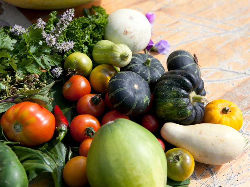 En hög med olika slags grönsaker, foto.