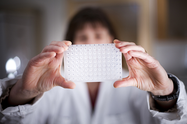 En person i labbrock håller upp en pcr-platta. Foto.