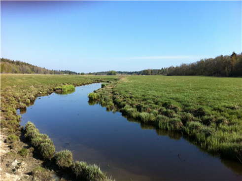 Vattendrag i jordbrukslandskapet, foto.