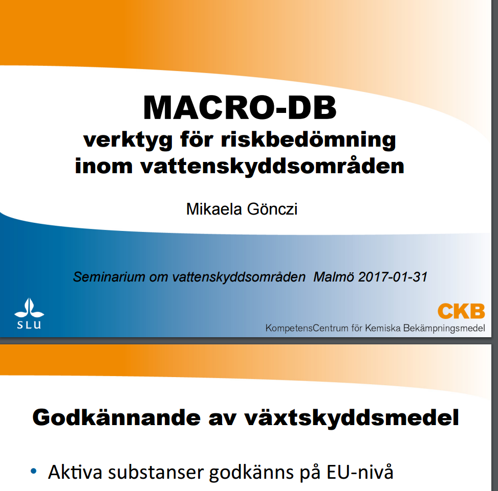 Framsida till en powerpointpresentation med rubriken MACRO-DB.