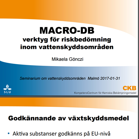 Framsida till en powerpointpresentation med rubriken MACRO-DB.