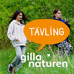 Gilla naturen tävling 2021