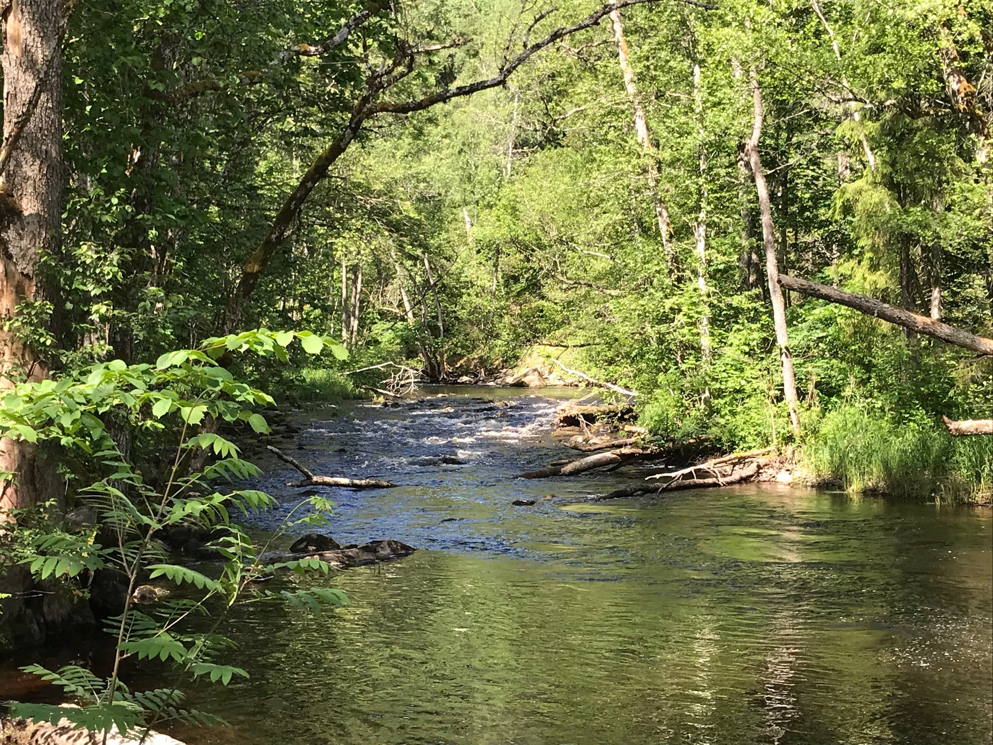 Vybild över Järleån