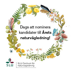 Krans för Årets naturvägledning