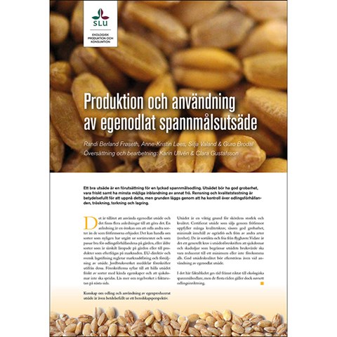 Framsida av publikationen "Produktion och användning av egenodlat spannmålsutsäde". Närbild på spannmålskärnor bakom rubriken.