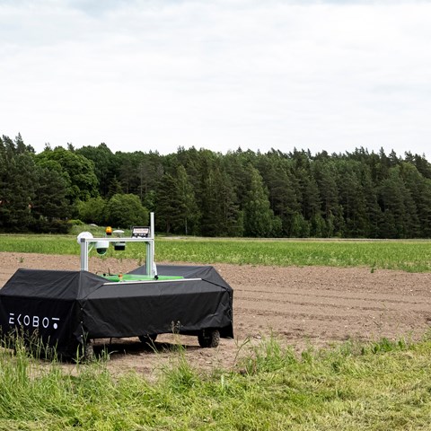 Roboten Ekobot på en åker. En svart kvadrat med fyra hjul.