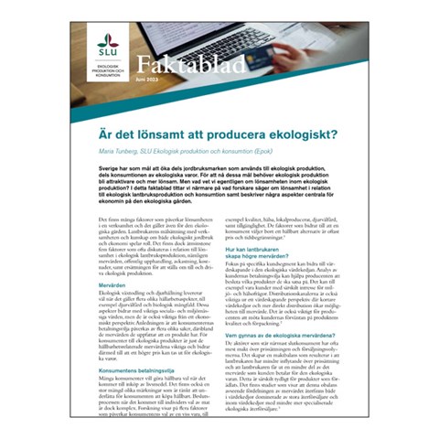 Framsida av faktablad om ekonomi, text och en biild på en dator och ett kreditkort.