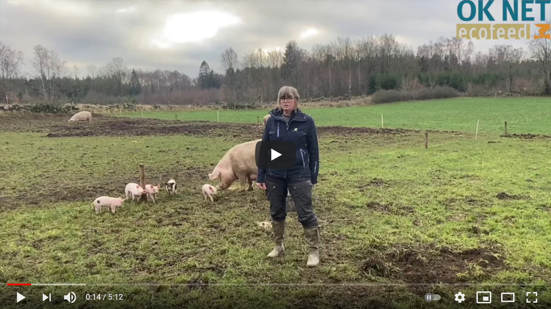 Skärmdump från filmen. En person står i en hage med grisar.