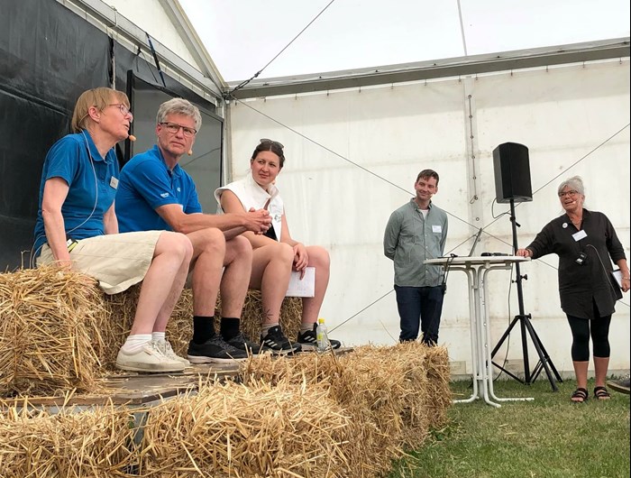 Tre panelister sitter på halmbalar.