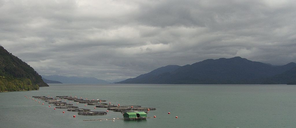 Fish Farm in Fjord near La Junta  by Jason Hollinger under  Creative Commons Attribution Share Alike 2.0 Generic license (https://creativecommons.org/licenses/by-sa/2.0/deed.en)