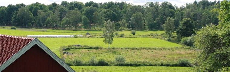 Landskap med mindre åkrar och skog, gärdesgård och ensilagebalar i bakgrunden. Röd lada sticker fram till vänster.