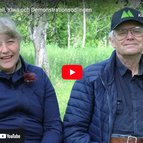 Skärmdump från filmen där Kjell och Ylwa tittar in i kameran.