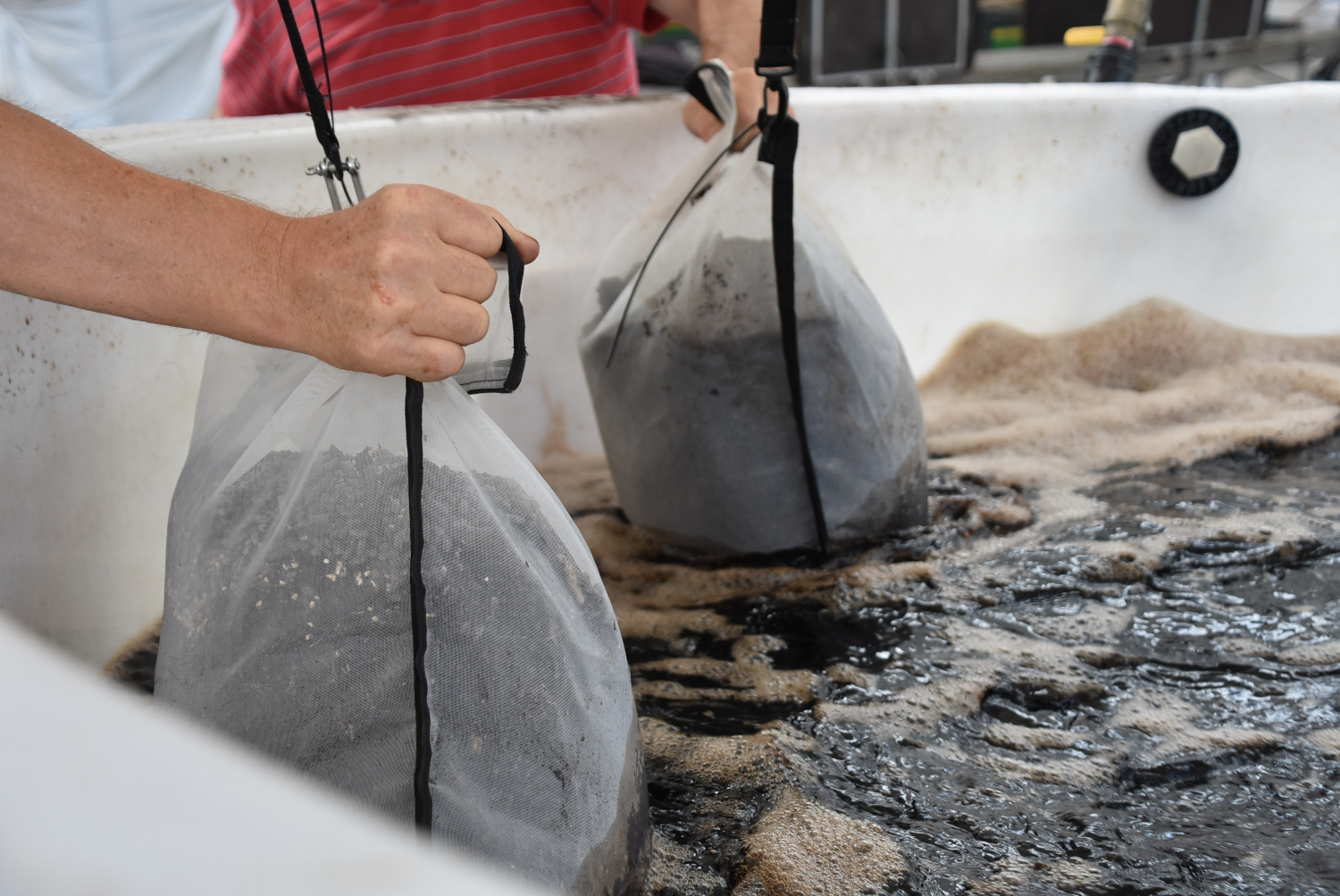 Påsar med kompost sänks ner i ett stort kar med en mörk vätska.