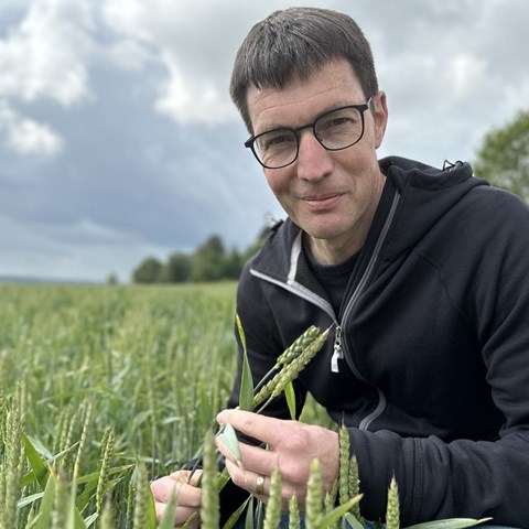 Bild på Per Modig i ett spannmålsfält.