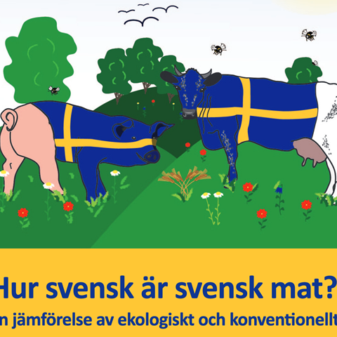 Framsida till rapport om svensk mat. Gris och ko med svenska flaggor på kroppen.