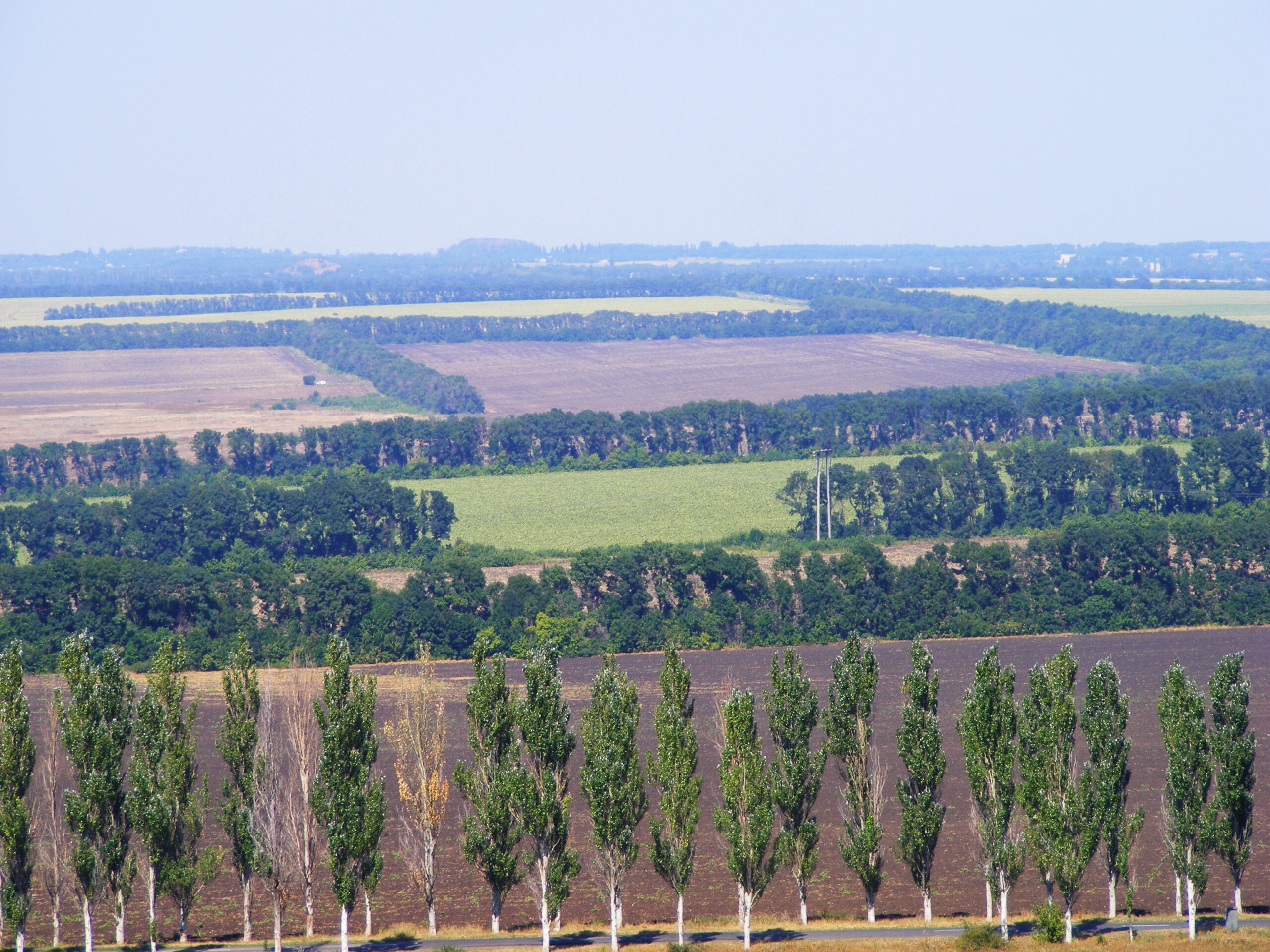 Vy över jordbrukslandskap med mycket träd i Donetskregionen i Ukraina.