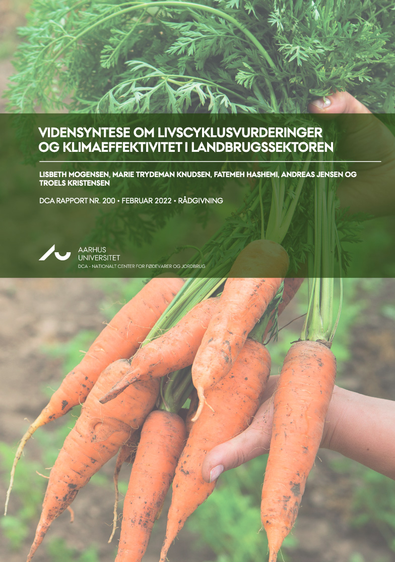 Framsida av syntes, hand håller ett knippe morötter.