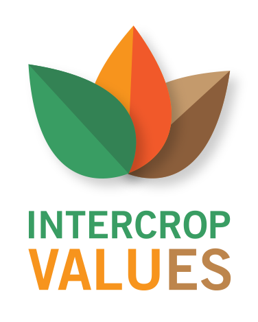 Intercrop values logotyp, stiliserade blad i olika färg formar en blomma.