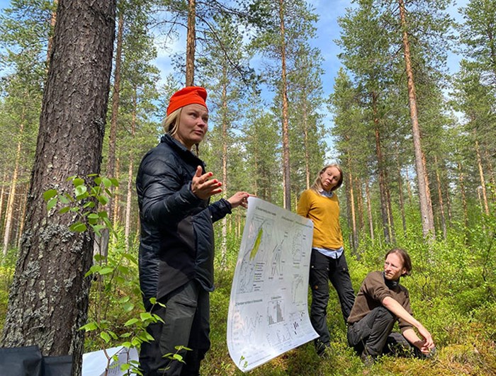 Tre personer presenterar en poster i skogen.