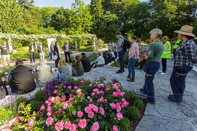 Utomhusföreläsning i Botaniska trädgården i Visby. 