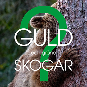 Dokumentären Guld och gröna skogar?