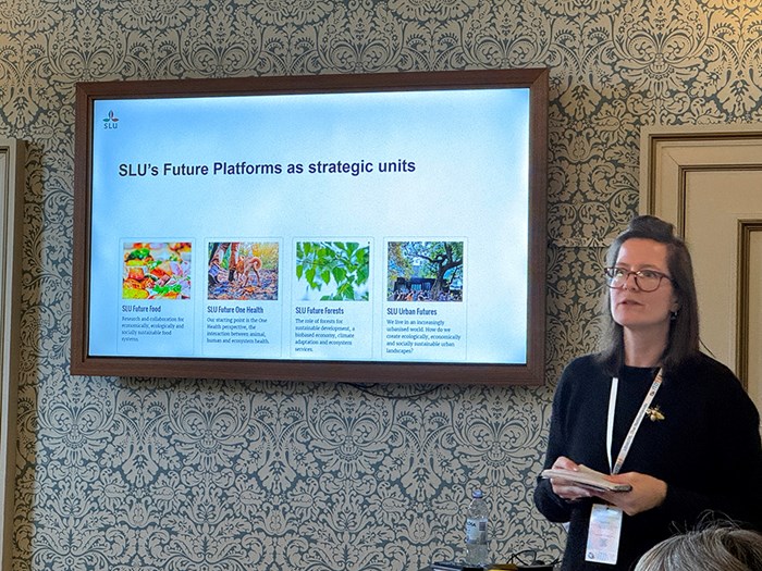 A screen on a wall and woman presenting.