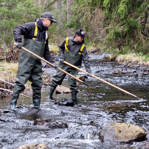 Waterscapes_Nedre_dalalvan2